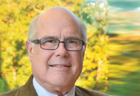 2019 Insight Calls for 20/20 Foresight